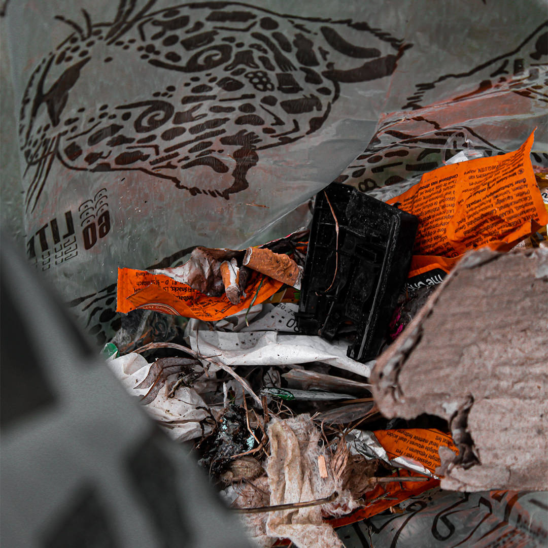 Blumen statt Schrott - hicup - Müllfoto