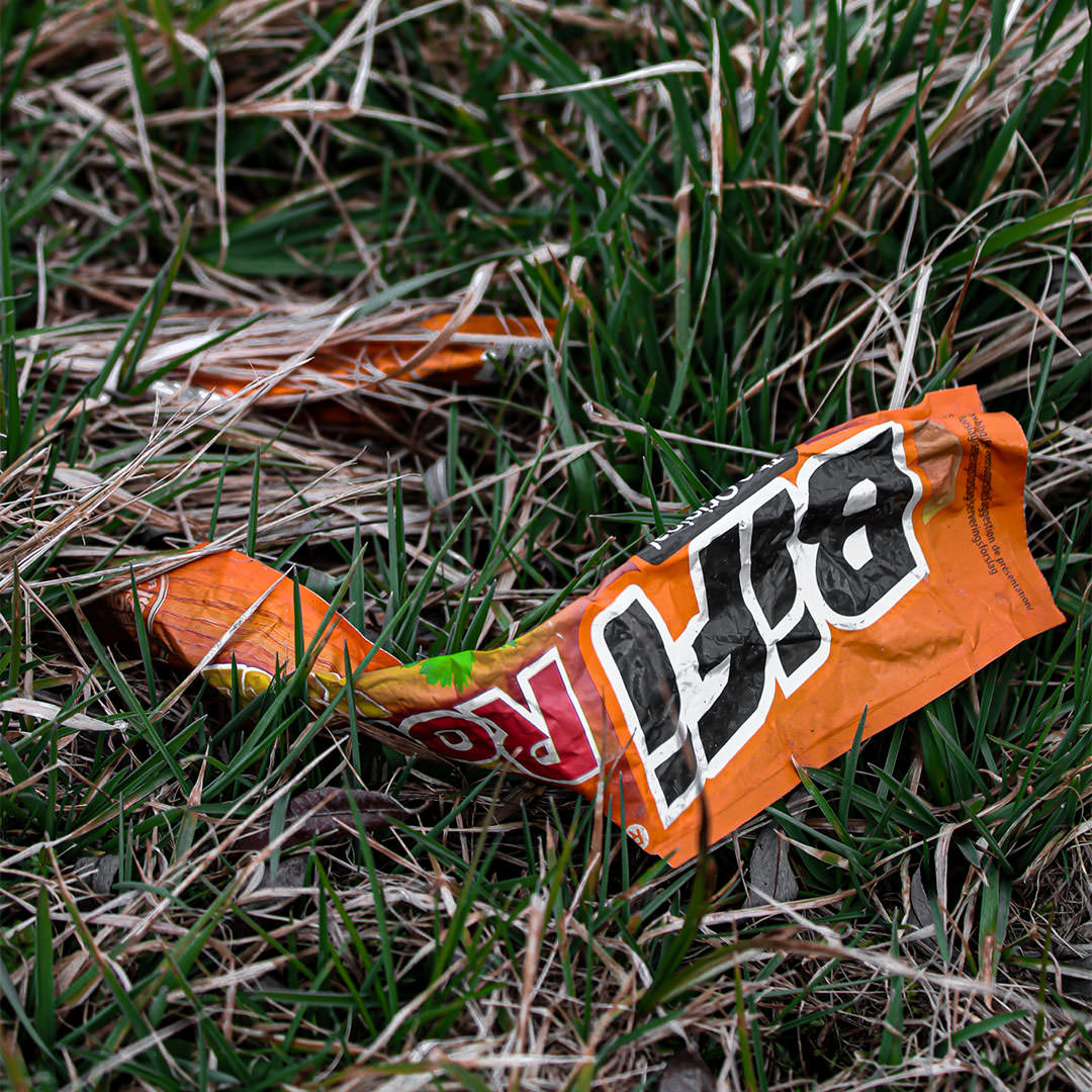 Blumen statt Schrott - hicup - Müllfoto