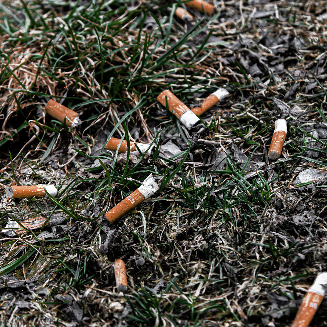 Blumen statt Schrott - hicup - Müllfoto