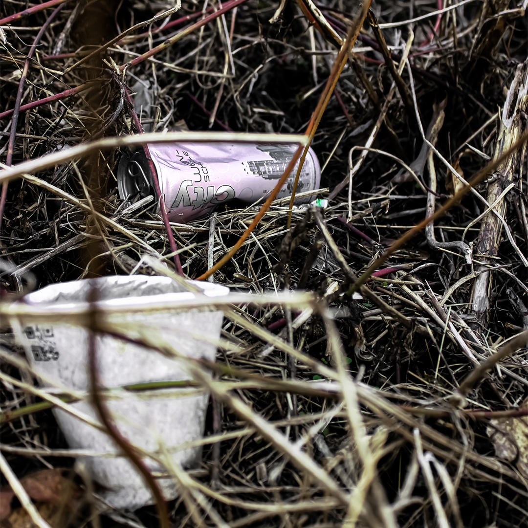 Blumen statt Schrott - hicup - Müllfoto
