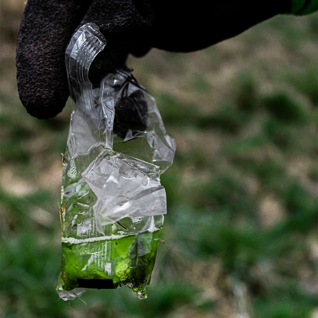 Blumen statt Schrott - hicup - Müllfoto